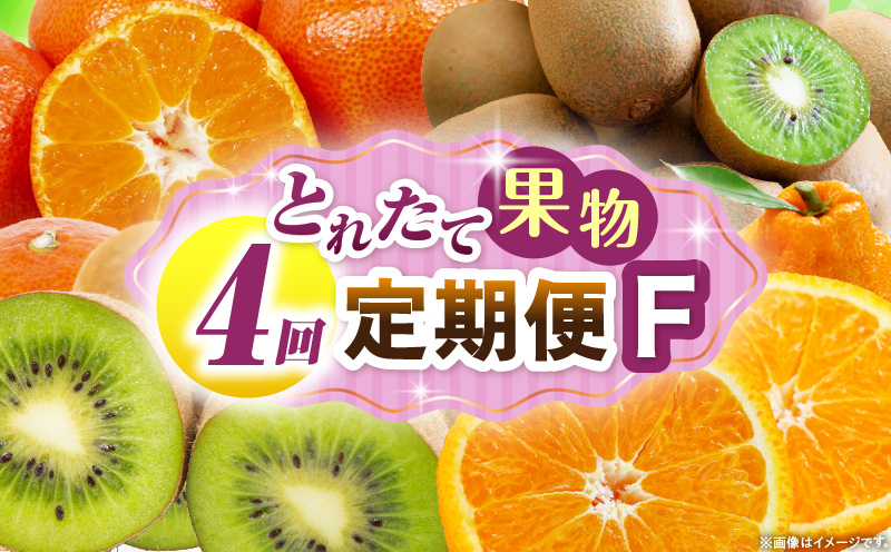 とれたて果物 4回定期便F 果物 フルーツ 果物定期便 フルーツ定期便 定期便キウイ デコポンみかん 濃厚 旬の果物 定期 人気 おすすめ 贈答 贈り物 青果物 糖度 香川県 _mk165-t079