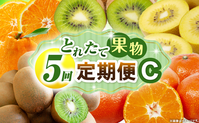 とれたて果物 5回定期便C 果物 フルーツ 果物定期便 フルーツ定期便 定期便キウイ デコポンみかん 濃厚 旬の果物 定期 人気 おすすめ 贈答 贈り物 青果物 糖度 香川県 _mk165-t082