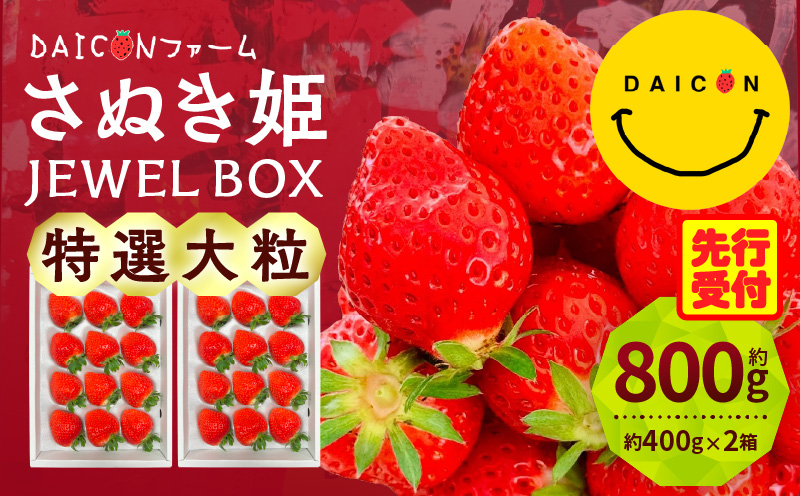 【先行予約】DAICONファーム さぬきひめJEWEL BOX（さぬきひめ苺（特選大粒）2箱 約800g） | いちご 苺 果物 果実 果汁 青果物 高級 大粒いちご 特選大粒 ご褒美 贈答 贈り物 人気 おすすめ 化粧箱 スイーツ デザート 旬 旬の果物 | _mk170-001