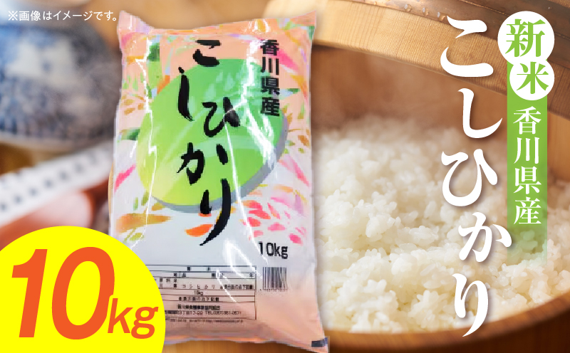 【令和7年産】香川県産こしひかり 10kg（紙袋配送）|新米 コシヒカリ こしひかり 10kg 米 白米 ごはん ご飯 朝食 白ご飯 おにぎり お弁当 おむすび お米 国産 美味しい ツヤ モチモチ 精米 おすすめ 香川県 三木町 |_mk132-110-02