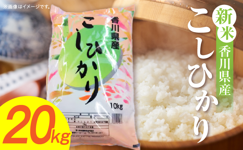 【令和7年産】香川県産こしひかり 20kg（紙袋配送）|新米 コシヒカリ こしひかり 20kg 米 白米 ごはん ご飯 朝食 白ご飯 おにぎり お弁当 おむすび お米 国産 美味しい ツヤ モチモチ 精米 おすすめ 香川県 三木町 |_mk132-110-04