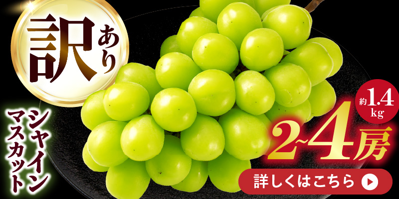  シャインマスカット