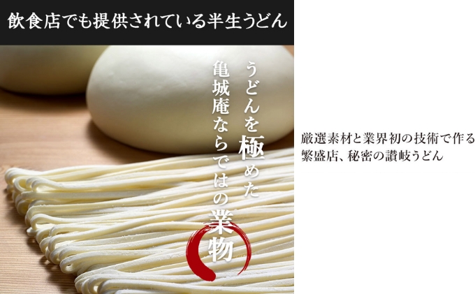 亀城庵 半生讃岐うどん並切麺120g×10袋(10食入・つゆ付セット)さぬきうどん 家庭用 ざる ぶっかけ 釜揚げ 釜玉 麺