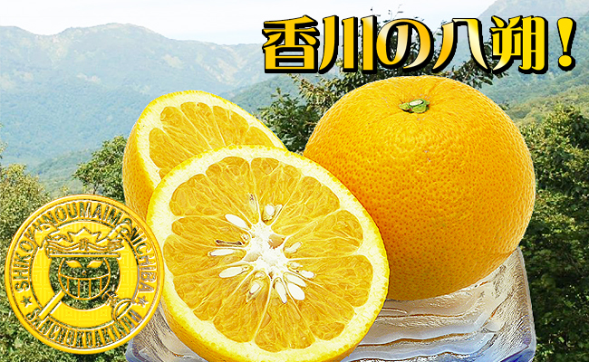 完熟の八朔約10kgの詰め合わせ