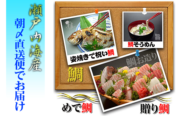 【朝獲れ直送便】天然鯛を丸ごと1匹 中サイズ 【うろこ・内臓取り】