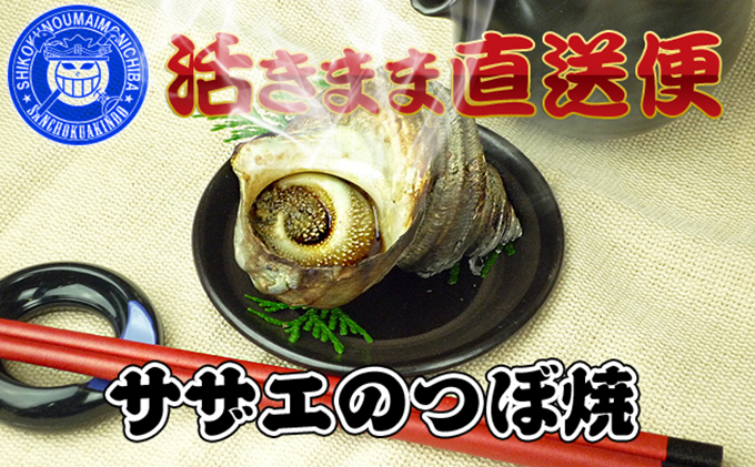 瀬戸内海産の朝どれ活サザエ【約2kg入り】