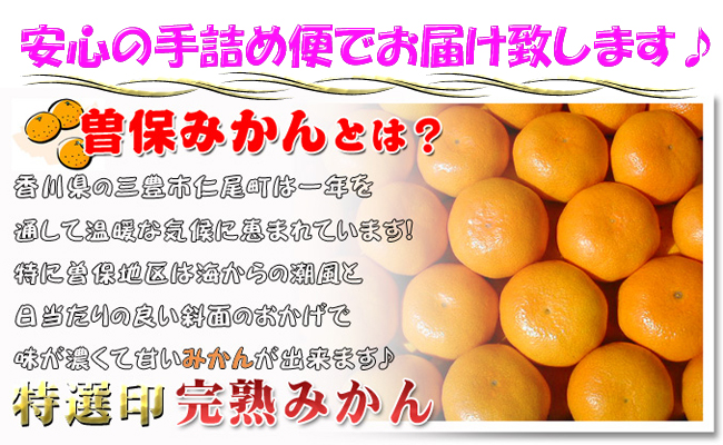 【秀品】香川県産 完熟厳選の曽保みかん 5kg