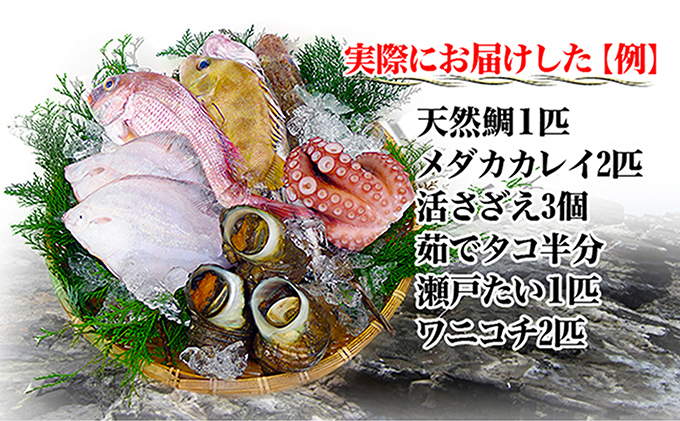 ［頒布会3回］瀬戸内海産の海産物の詰め合わせ（下処理ナシ）
