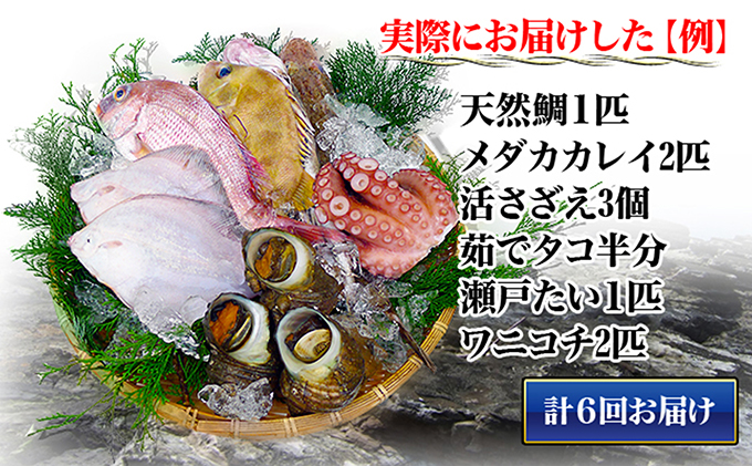 ［頒布会6回］瀬戸内海産の海産物の詰め合わせ（下処理アリ）