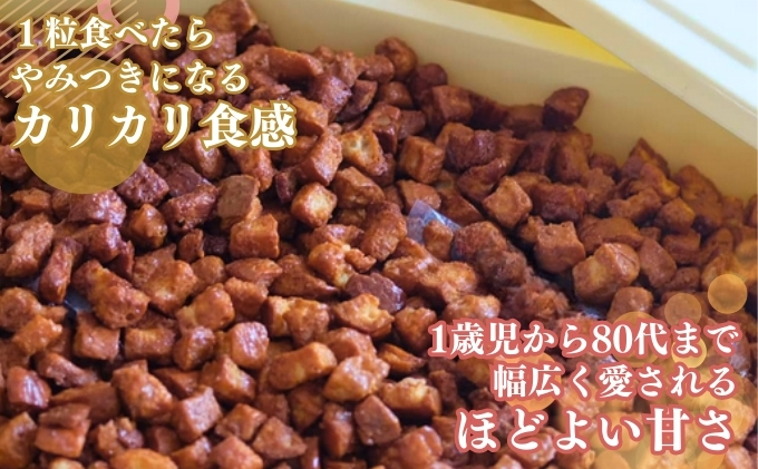 ten.ten.  食べだしたら止まらない 魅惑のキャラメルラスク 4袋