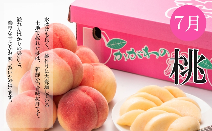 夏のいいとこどり定期便【全3回】 果物 桃 ぶどう フルーツ 果汁 甘い 濃厚 風味 種なし マスカット ジューシー 人気 セット 詰合せ