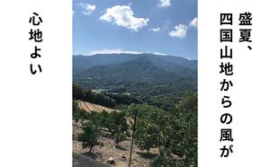 味自慢！讃岐 しらぬひ　約3kg