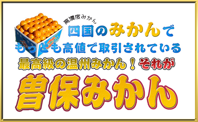 【秀品】香川県産 完熟厳選の曽保みかん 5kg
