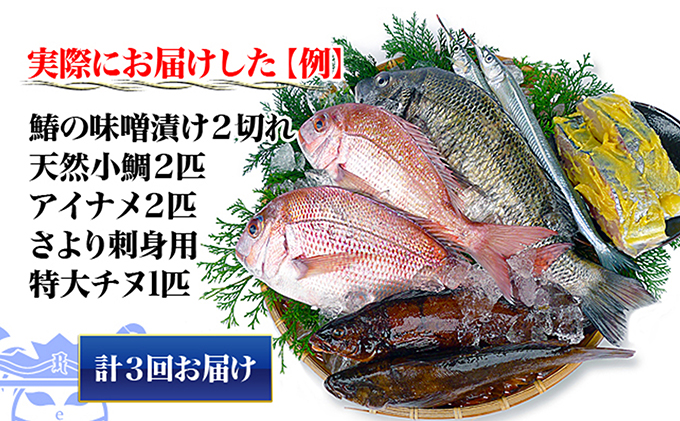 ［頒布会3回］瀬戸内海産の海産物の詰め合わせ（下処理アリ）
