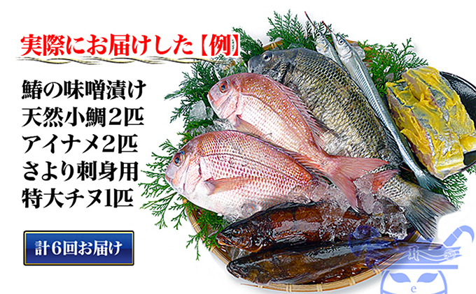 ［頒布会6回］瀬戸内海産の海産物の詰め合わせ（下処理アリ）
