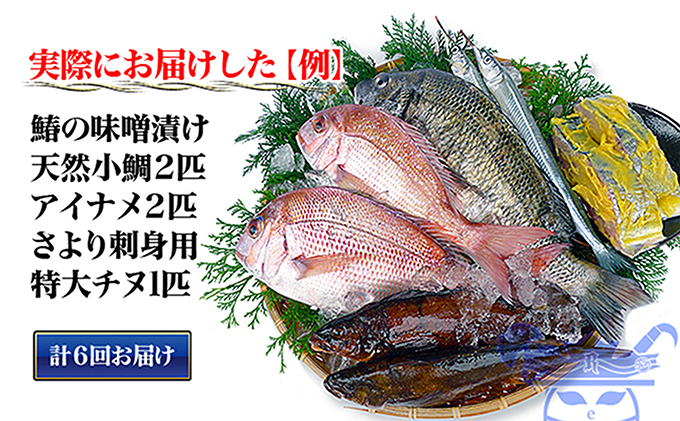 ［頒布会6回］瀬戸内海産の海産物の詰め合わせ（下処理ナシ）