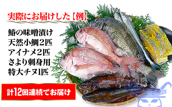 ［頒布会12回］瀬戸内海産の海産物の詰め合わせ（下処理アリ）