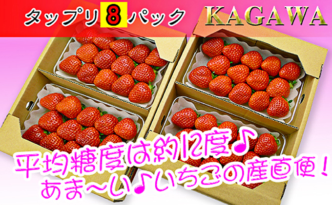 香川県のオリジナル品種/さぬき姫いちご8パック