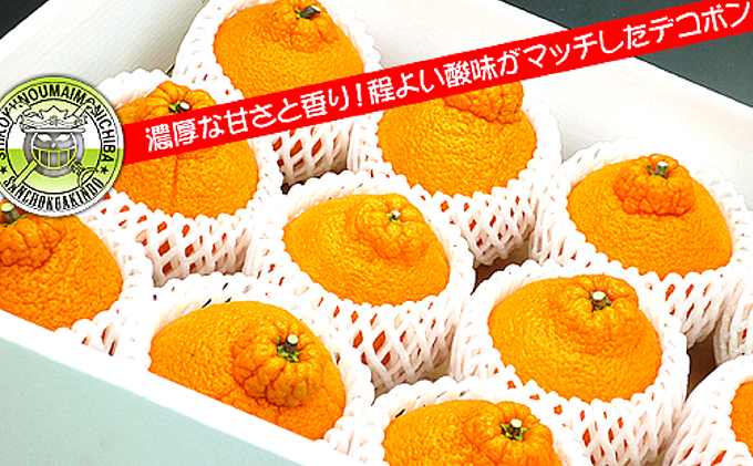 香川県産あま～いデコポン［不知火］約4.5kg