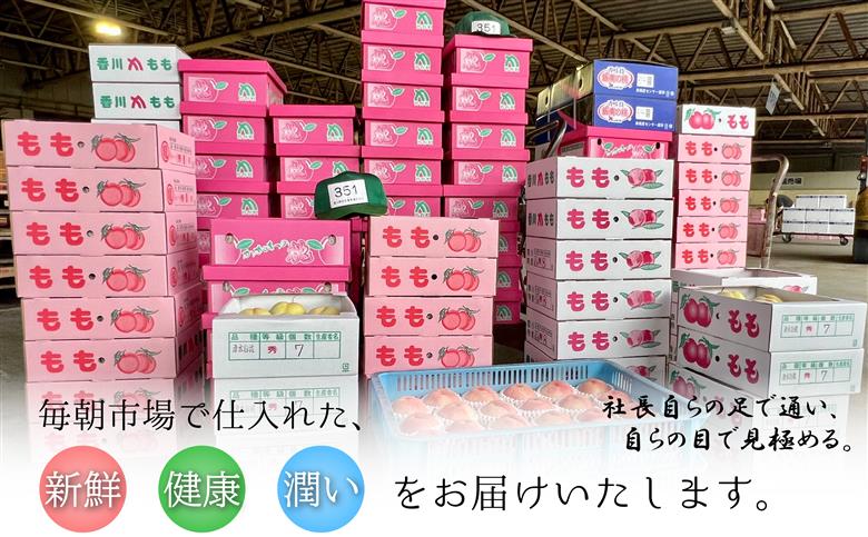 厳選！ぷりっぷり果肉♪濃厚甘味「デコポン」　約3kg