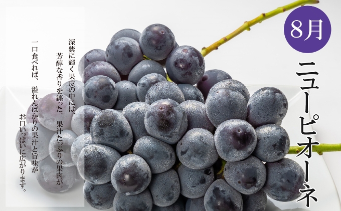 夏のいいとこどり定期便【全3回】 果物 桃 ぶどう フルーツ 果汁 甘い 濃厚 風味 種なし マスカット ジューシー 人気 セット 詰合せ