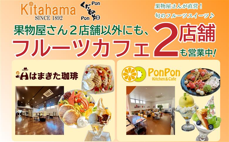 さぬき姫いちご　4パック(1パック約250g)