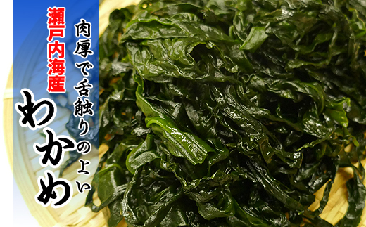 素潜り漁師からの贈り物/塩わかめの詰め合わせ