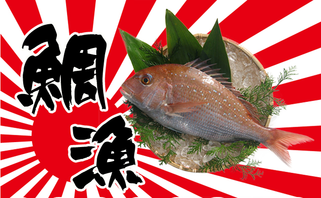 【朝獲れ直送便】瀬戸内海産の天然鯛を丸ごと1匹 キングサイズ【下処理なし】