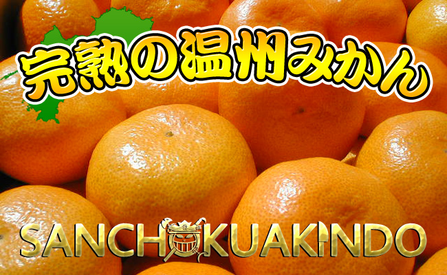 【秀品】香川県産 完熟厳選の曽保みかん 5kg