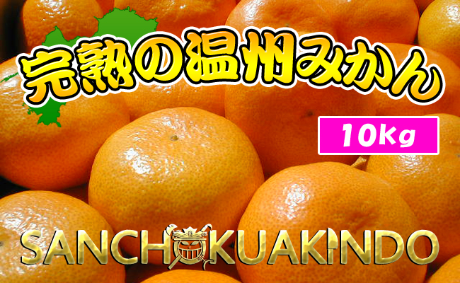 【秀品】香川県産 完熟厳選の曽保みかん 10kg