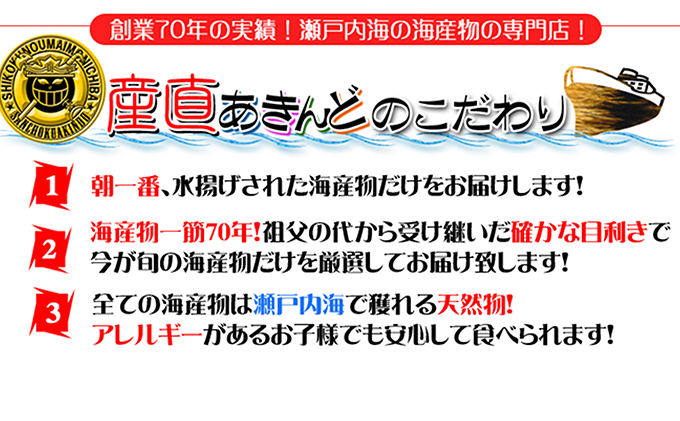 ［頒布会6回］瀬戸内海産の海産物の詰め合わせ（下処理アリ）