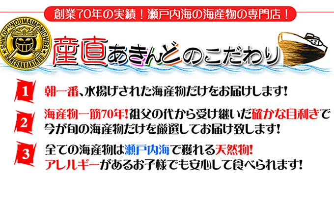 ［頒布会12回］瀬戸内海産の海産物の詰め合わせ（下処理ナシ）