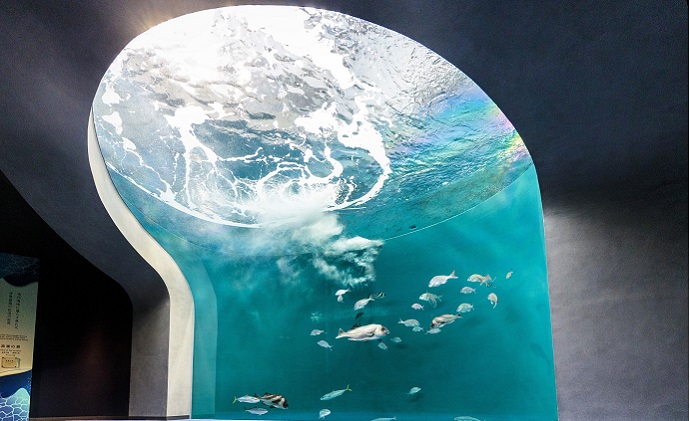 四国水族館　＜大人＞ペア入館券＋ガイドツアー［限定20組］