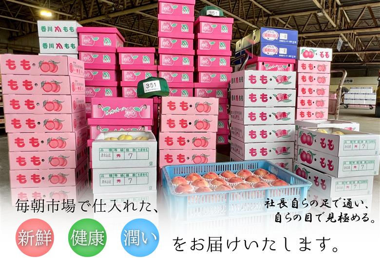 極撰！丸亀市の「シャインマスカット」約2kg（3～5房）