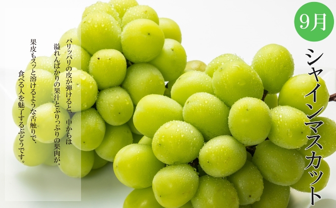 夏のいいとこどり定期便【全3回】 果物 桃 ぶどう フルーツ 果汁 甘い 濃厚 風味 種なし マスカット ジューシー 人気 セット 詰合せ