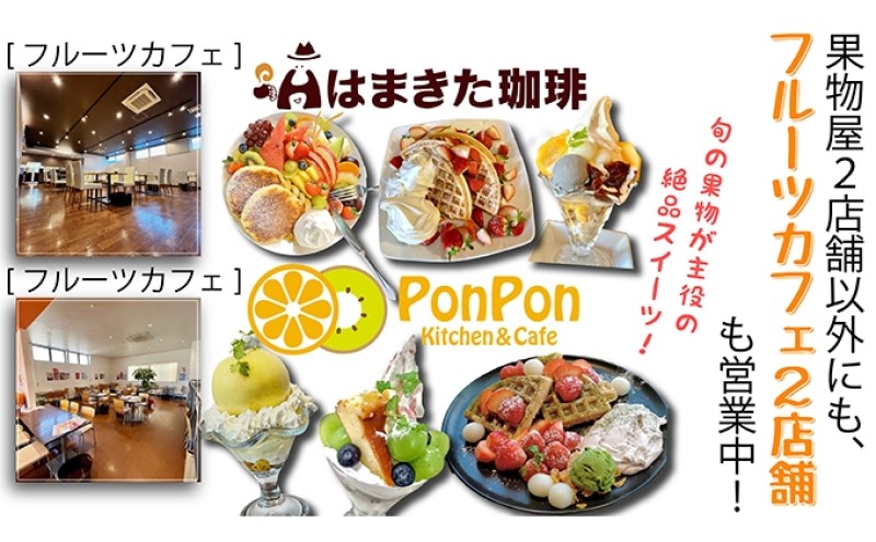 特秀品！真っ赤なお蜜柑「小原紅早生」約3kg みかん