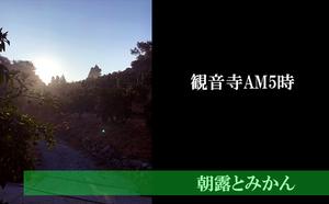 味自慢！讃岐 しらぬひ　約3kg