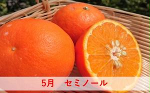 みかん 定期便 5回 フルーツ フジカワ果樹園オリジナル（新季節の柑橘セット） 果物