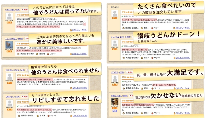 亀城庵 徳膳讃岐うどん500g×10袋 さぬきうどん 家庭用 ざる ぶっかけ 釜揚げ 釜玉 麺