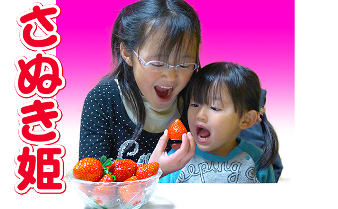 香川県のオリジナル品種/さぬき姫いちご8パック