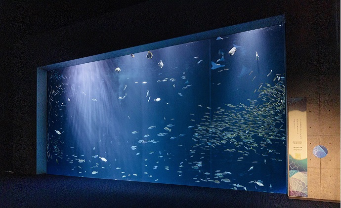 四国水族館　＜大人＞ペア入館券＋ガイドツアー［限定20組］