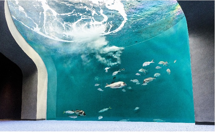 四国水族館　夜間全館貸切利用＜2時間＞［限定20組］