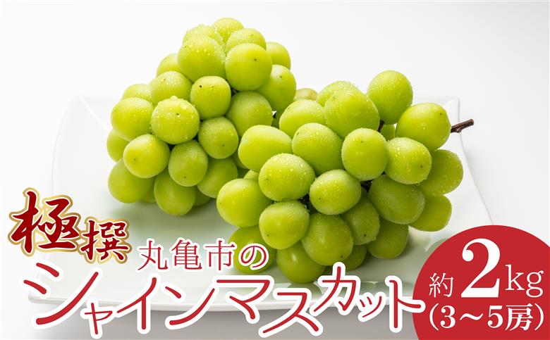 極撰！丸亀市の「シャインマスカット」約2kg（3～5房）