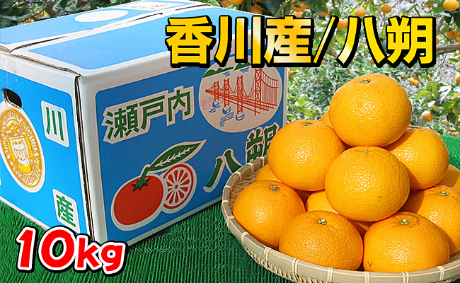 完熟の八朔約10kgの詰め合わせ