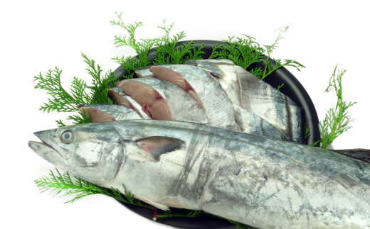 【特選品】瀬戸内海産の鰆の味噌漬け15切れの詰め合わせ