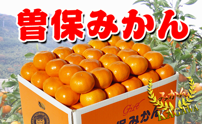 【秀品】香川県産 完熟厳選の曽保みかん 5kg