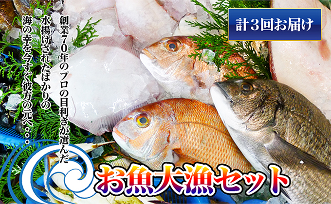 ［頒布会3回］瀬戸内海産の海産物の詰め合わせ（下処理アリ）