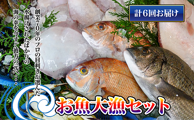 ［頒布会6回］瀬戸内海産の海産物の詰め合わせ（下処理アリ）