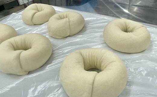 プレーン ベーグル おまかせ10個セット ベーグル 全粒粉 ヴィーガン 乳製品不使用 香川県 琴平町 こんぴらさん F5J-1073