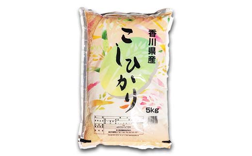令和7年度産 新米 香川県琴平産コシヒカリ 5kg 《入金後2週間以内に発送》 銘柄米 ブランド米 国産 こしひかり コシヒカリ 米 精米 お米 ライス ギフト 贈り物 四国 F5J-1075